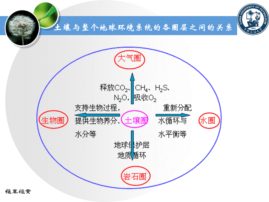 土壤的组成和性质PPT优秀课件.ppt_第2页