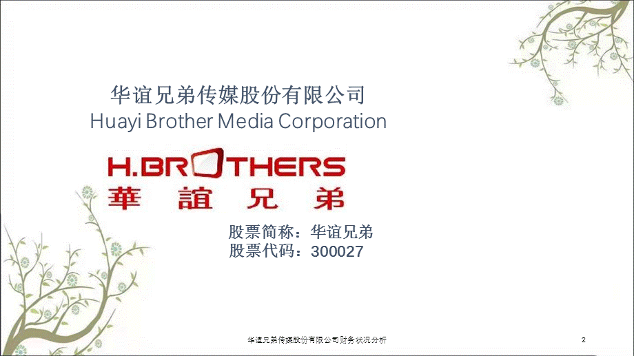 华谊兄弟传媒股份有限公司财务状况分析课件.ppt_第2页