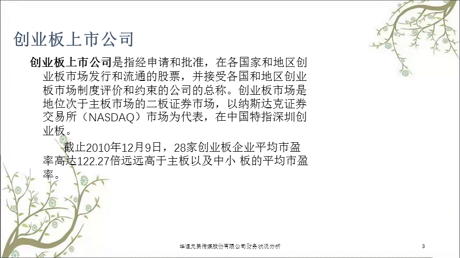 华谊兄弟传媒股份有限公司财务状况分析课件.ppt_第3页