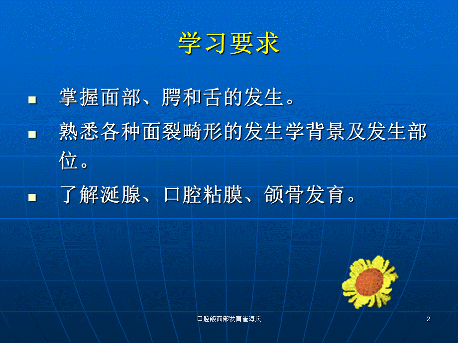 口腔颌面部发育崔海庆课件.ppt_第2页