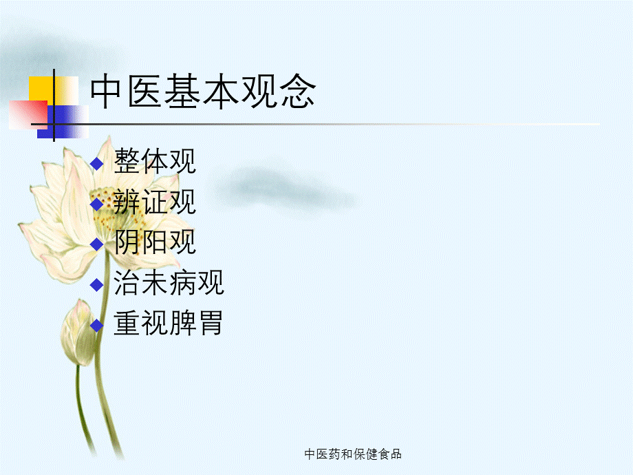 中医药和保健食品.ppt_第2页