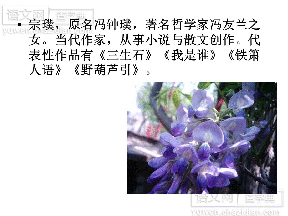 紫藤萝瀑布 (3).ppt_第2页