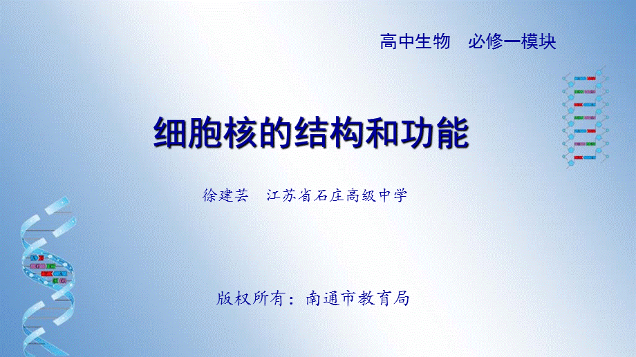 细胞核11.pptx_第1页