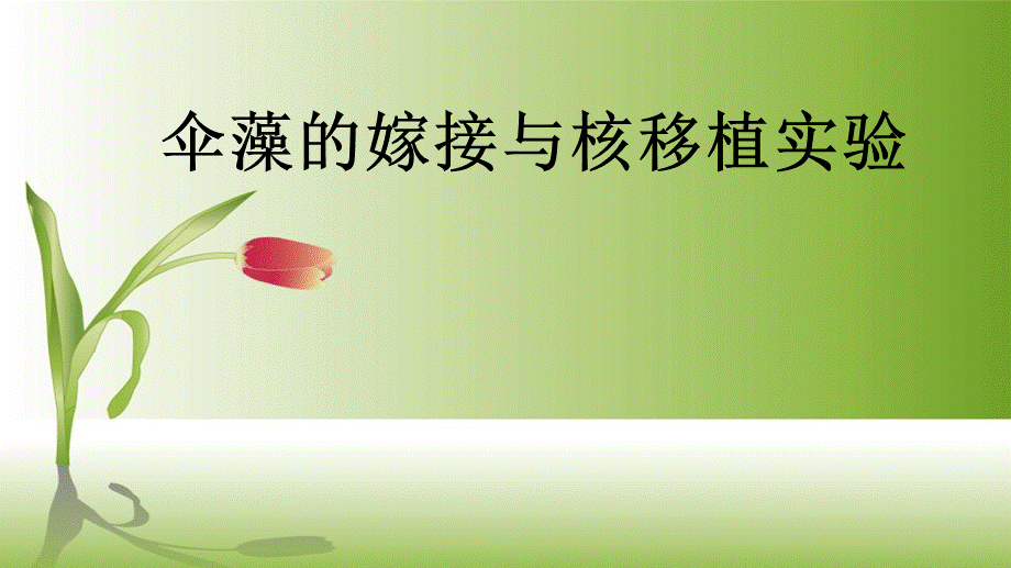 细胞核11.pptx_第2页