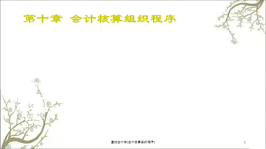 基础会计学(会计核算组织程序)课件.ppt_第1页