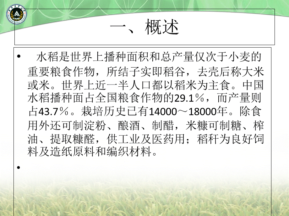 水稻栽培技术PPT优秀课件.ppt_第3页