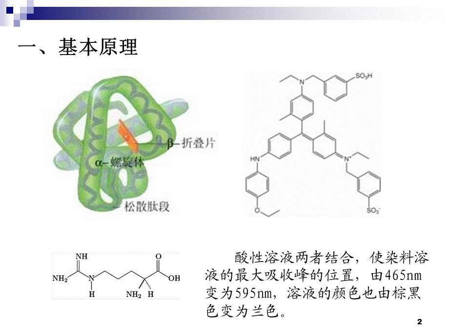 考马斯亮蓝法——完整版PPT优秀课件.ppt_第2页