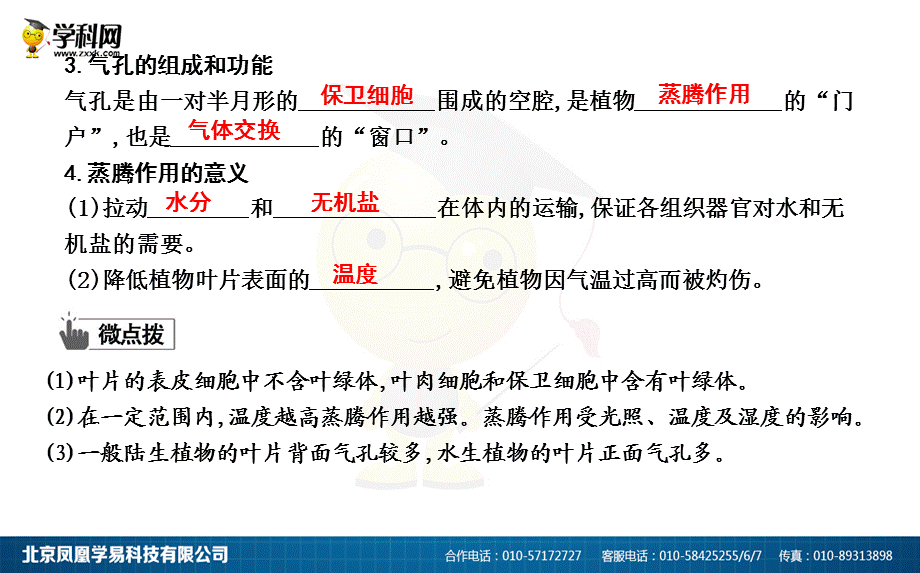 2018年人教版七年级上册生物第三单元第三章《绿色植物与生物圈的水循环》复习课件 (共12张PPT).ppt_第3页