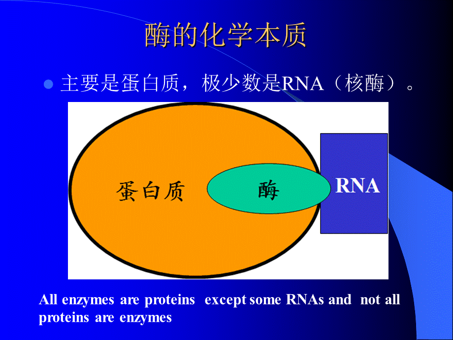 生物化学-酶.ppt_第3页