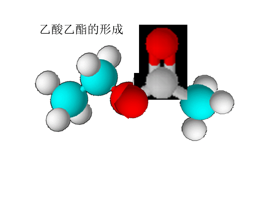 浏阳四中黄志辉《第三章第三节羧酸酯》.ppt_第3页