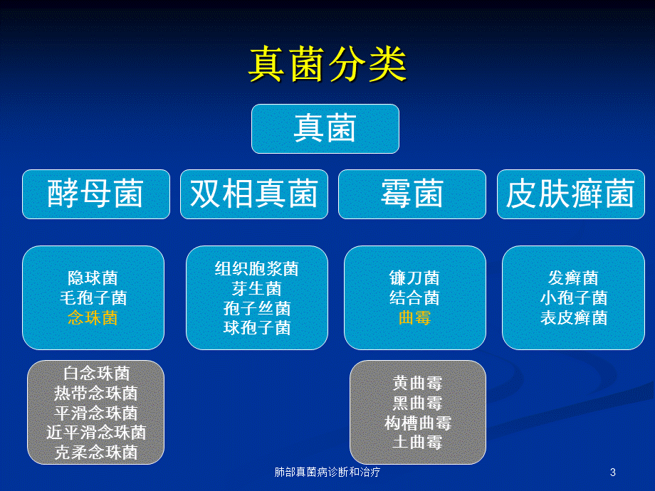 肺部真菌病诊断和治疗课件.ppt_第3页