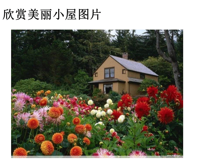 教科版六年级下册《小屋》PPT课件.ppt_第3页