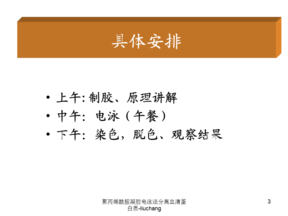 聚丙烯酰胺凝胶电泳法分离血清蛋白质-liuchang课件.ppt_第3页