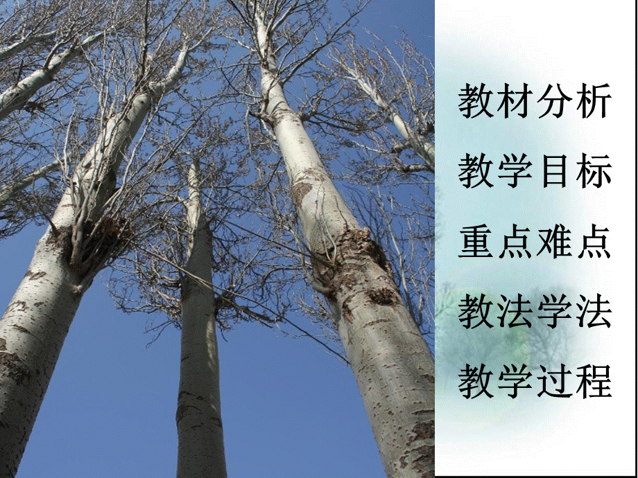 白杨礼赞 (3).ppt_第3页