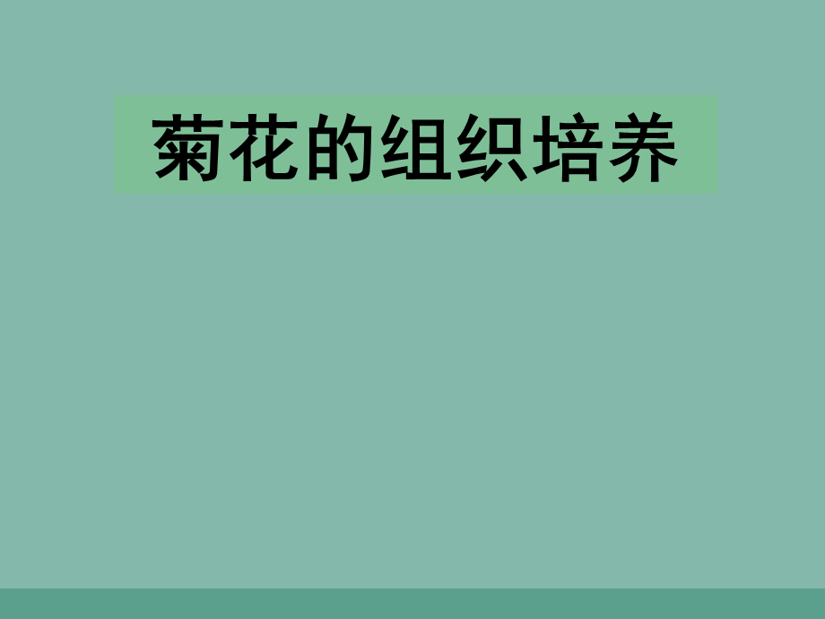 2020学年人教版选修一专题3课题1菊花的组织培养-共32张ppt课件.ppt_第1页