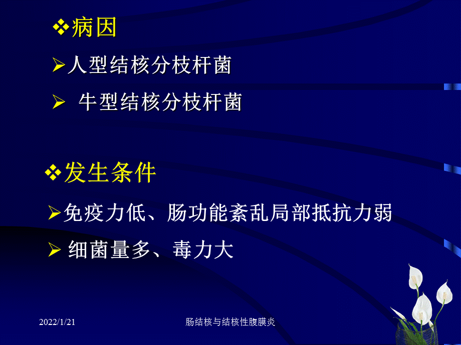 肠结核与结核性腹膜炎课件.ppt_第3页