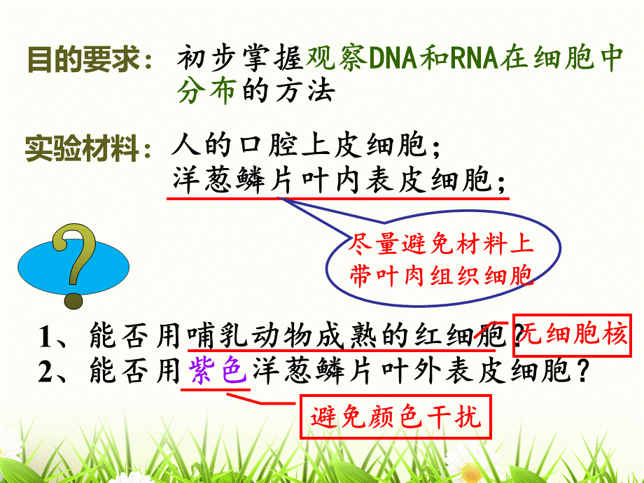 实验-DNA和RNA在细胞中的分布.ppt_第3页