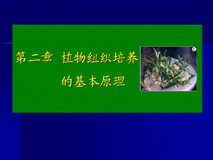 第二章-植物组织培养原理.ppt