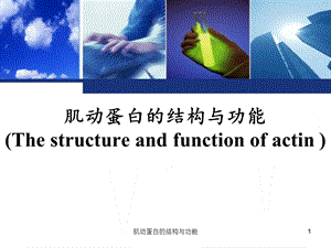 肌动蛋白的结构与功能课件.ppt