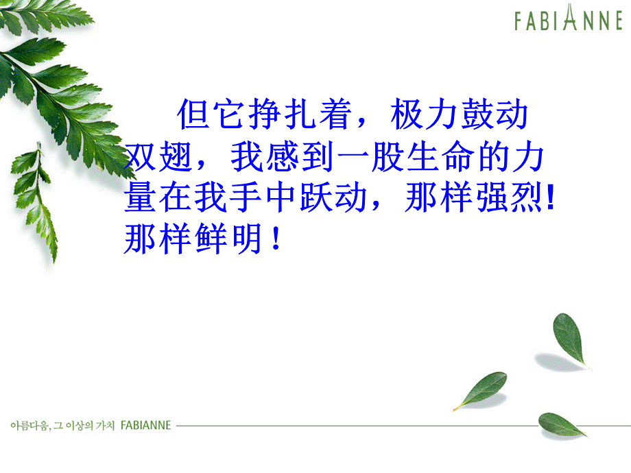 生命　生命3.ppt_第3页