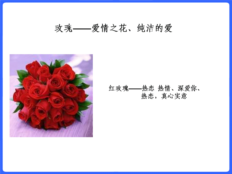 花卉的象征意义(上课).ppt_第2页