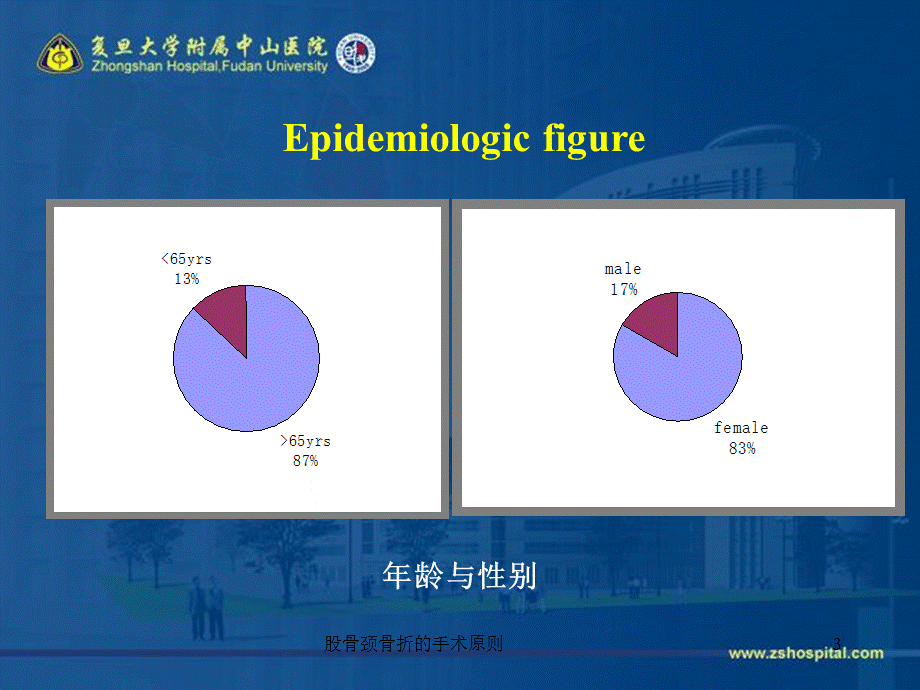 股骨颈骨折的手术原则课件.ppt_第3页