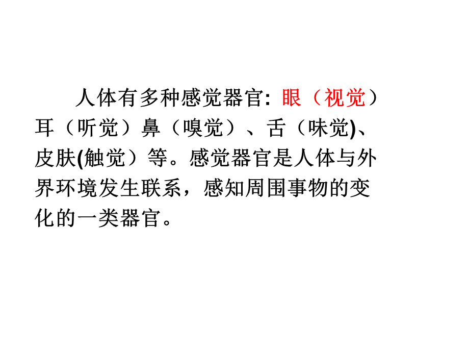 视觉器官----眼.ppt_第2页