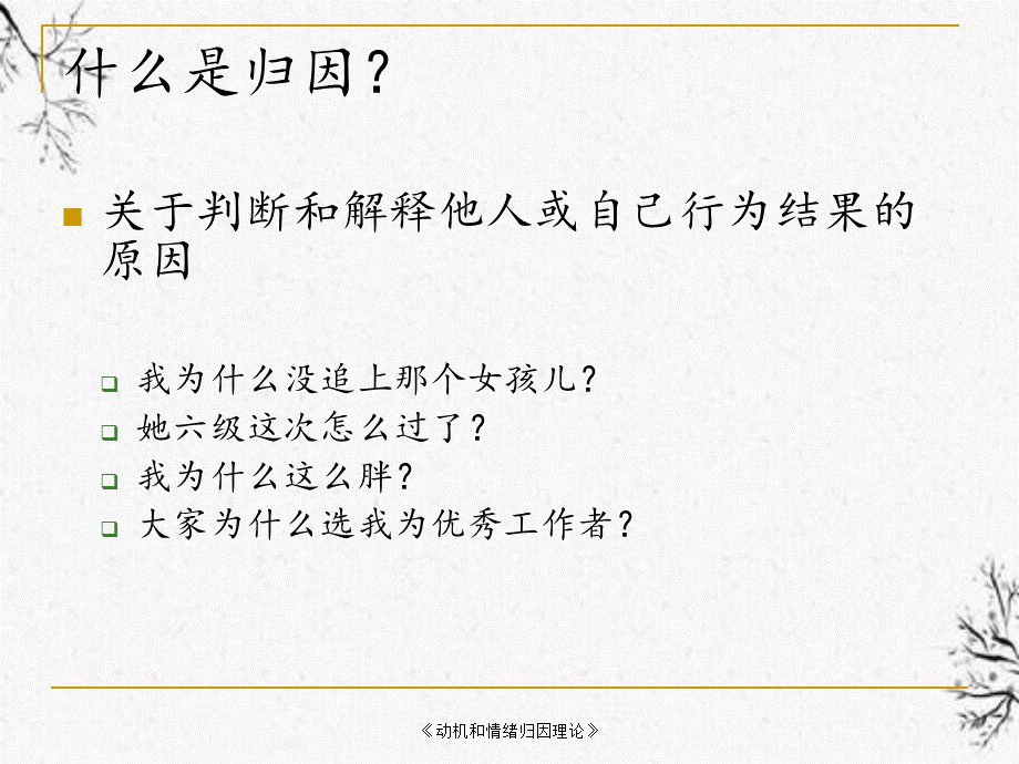 《动机和情绪归因理论》.ppt_第2页