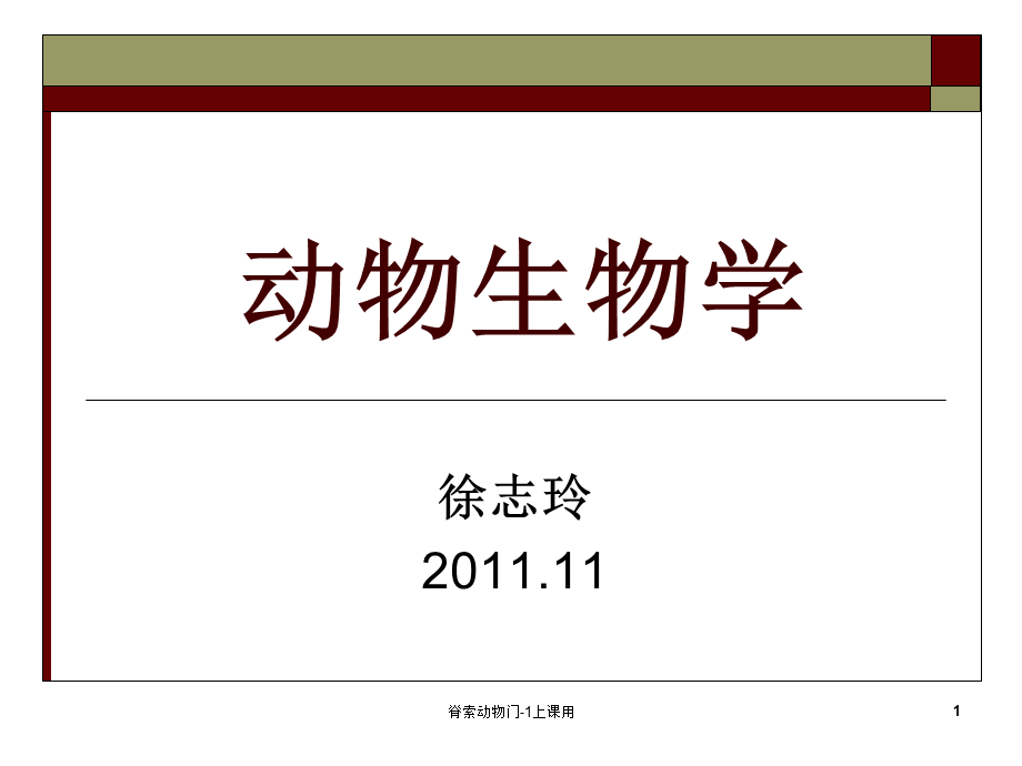 脊索动物门-1上课用课件.ppt_第1页