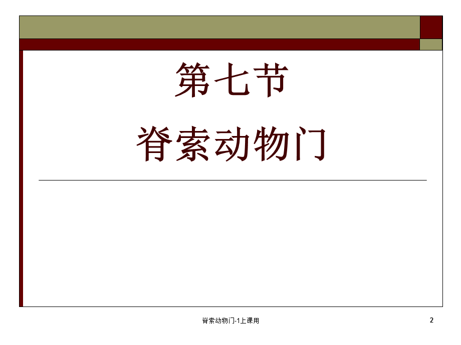 脊索动物门-1上课用课件.ppt_第2页