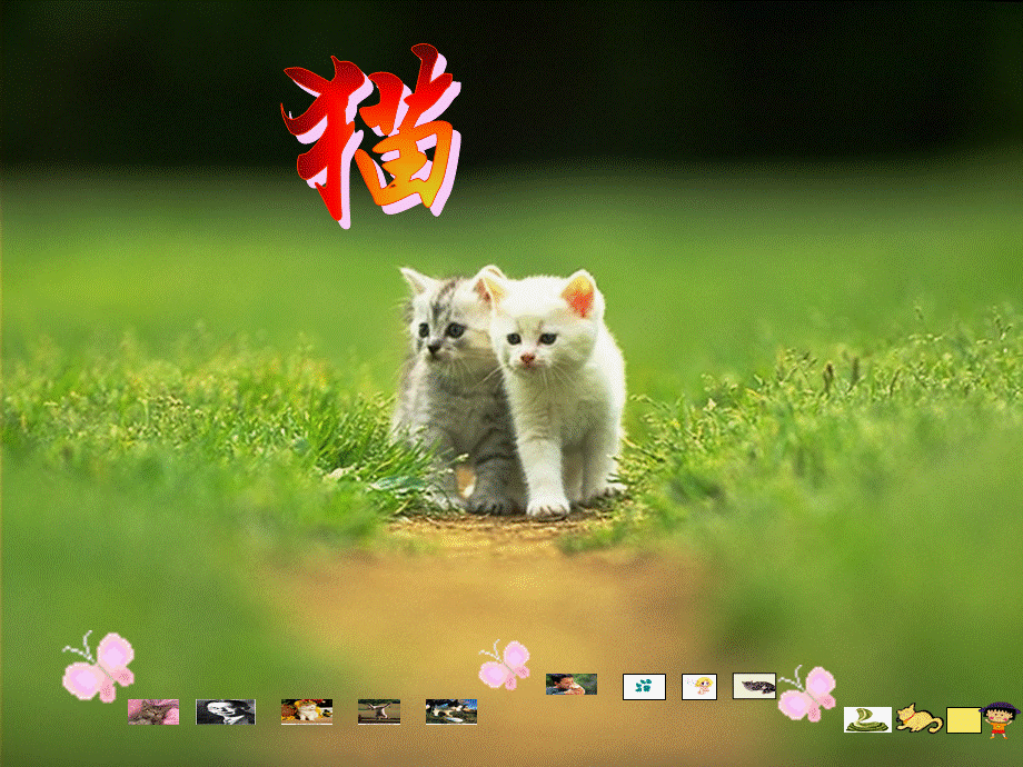 课件-15《猫》.ppt_第1页