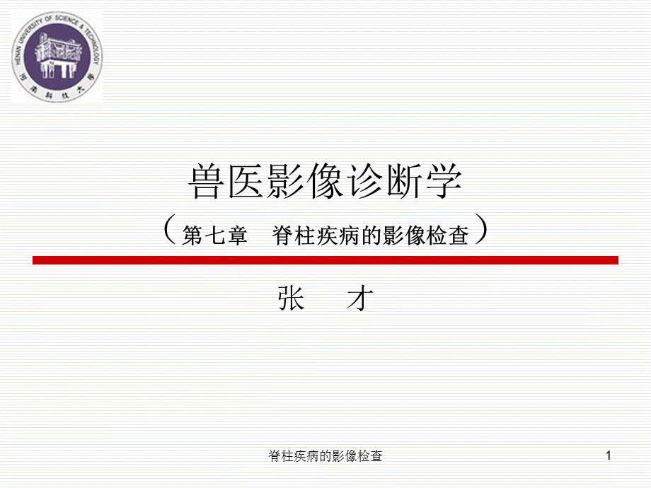 脊柱疾病的影像检查课件.ppt_第1页