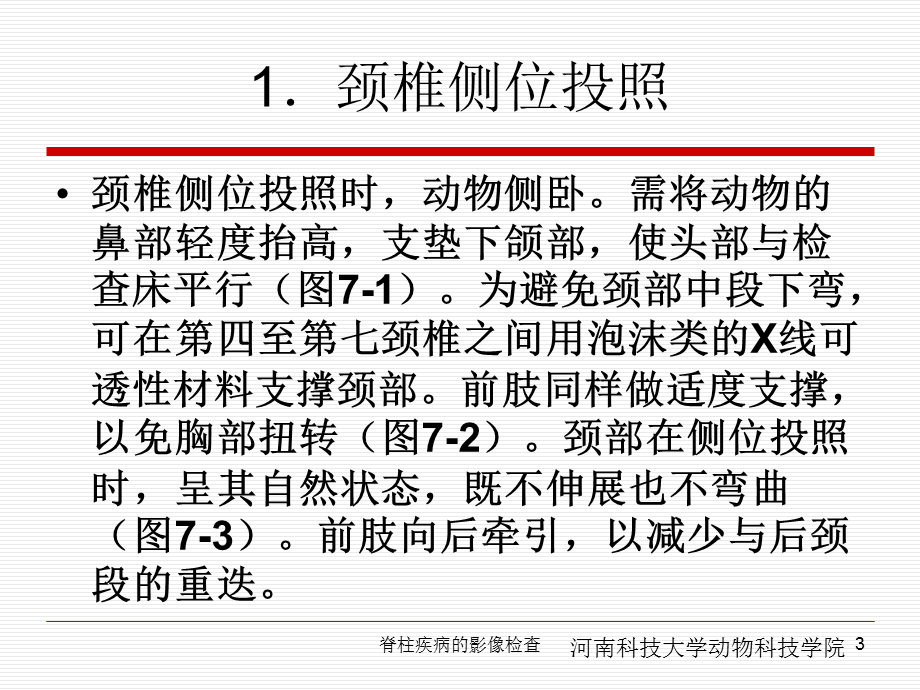 脊柱疾病的影像检查课件.ppt_第3页