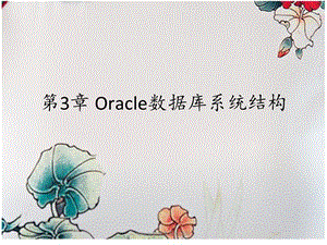 Oracle数据库系统结构.ppt