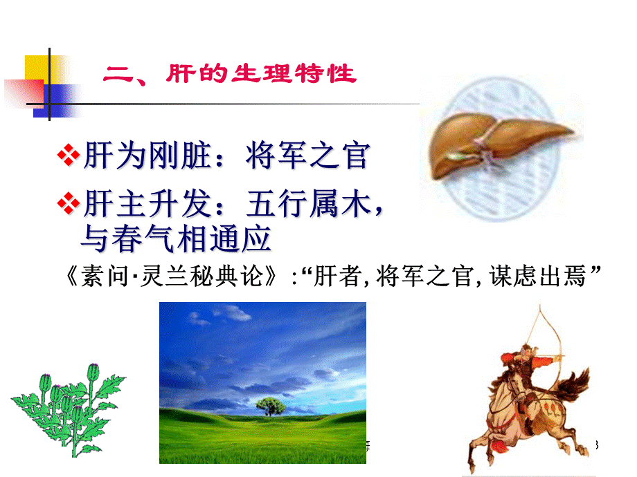 藏象学说-肝周康梅课件.ppt_第3页