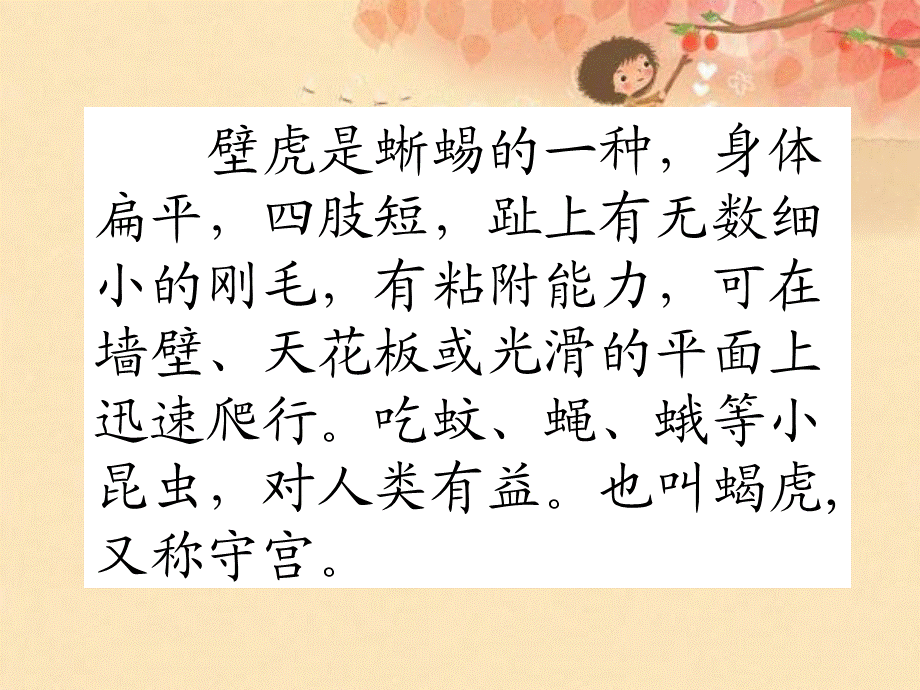 17小壁虎借尾巴(1).ppt_第3页