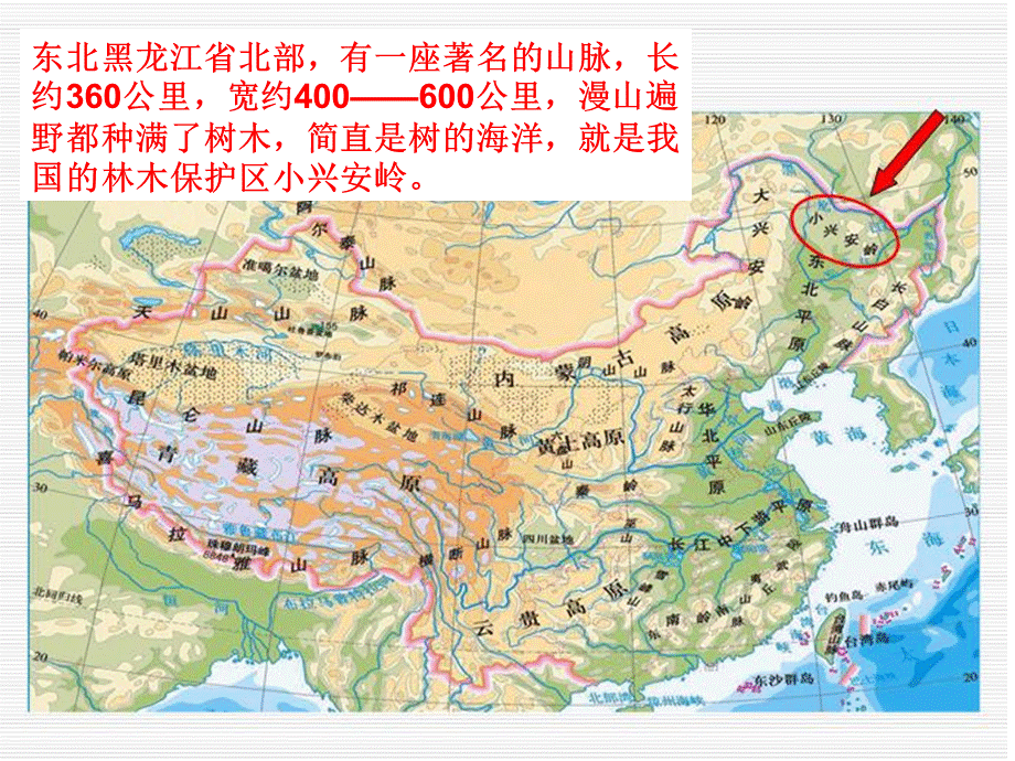 23美丽的小兴安岭（1）.ppt_第3页