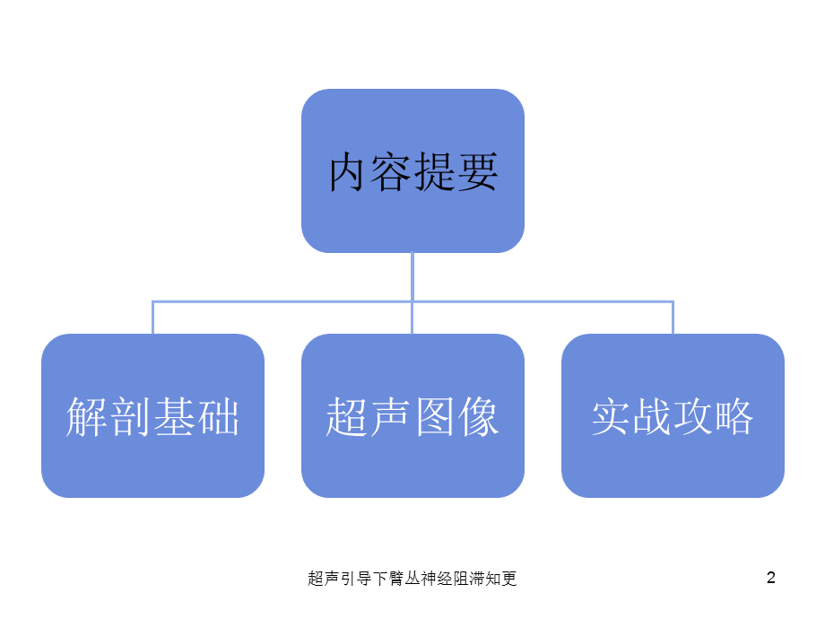 超声引导下臂丛神经阻滞知更课件.ppt_第2页