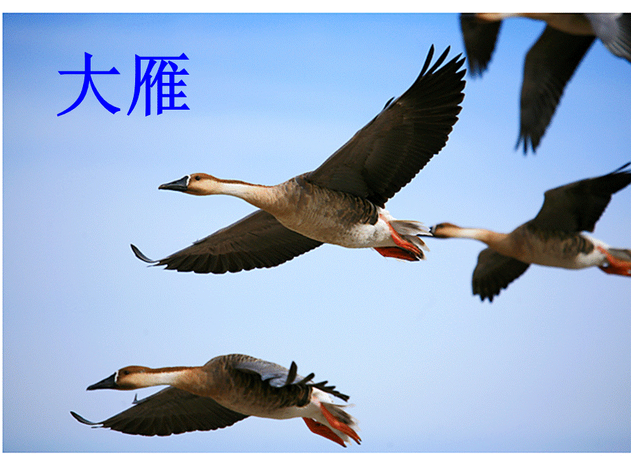 识字7课件 (2).ppt_第3页