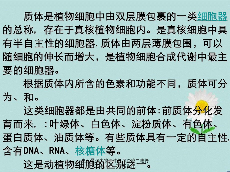 史上最强生物课件复习必修二遗传基本规律—分离规律.ppt_第1页