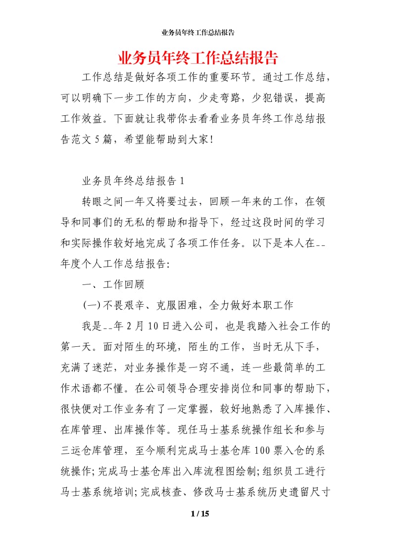 业务员年终工作总结报告.docx_第1页