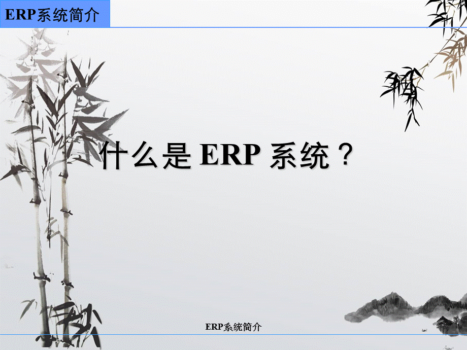 ERP系统简介.ppt_第2页