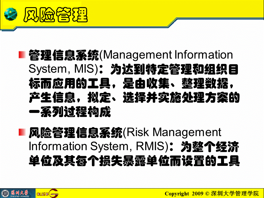 chapter10风险管理信息系统课件.ppt_第2页