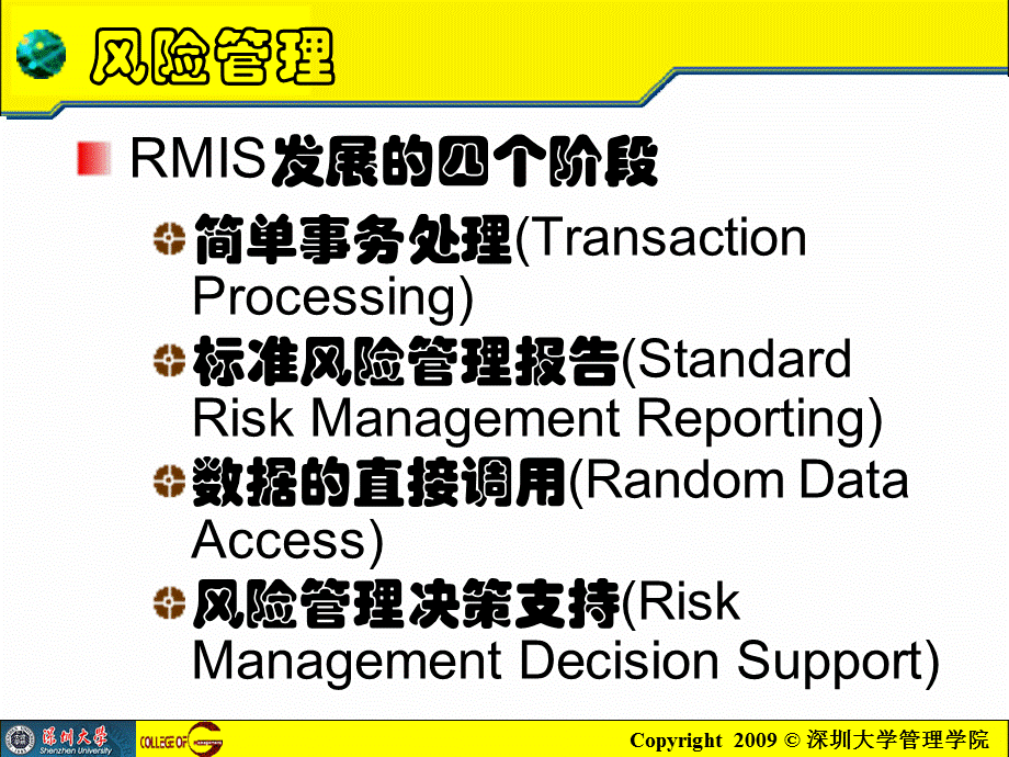 chapter10风险管理信息系统课件.ppt_第3页