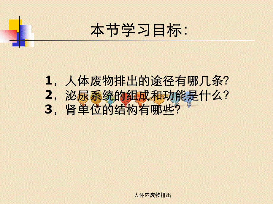 人体内废物排出.ppt_第2页