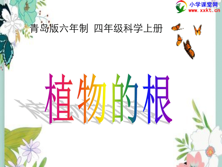 四年级科学上册《植物根》青岛版五年制.ppt_第1页