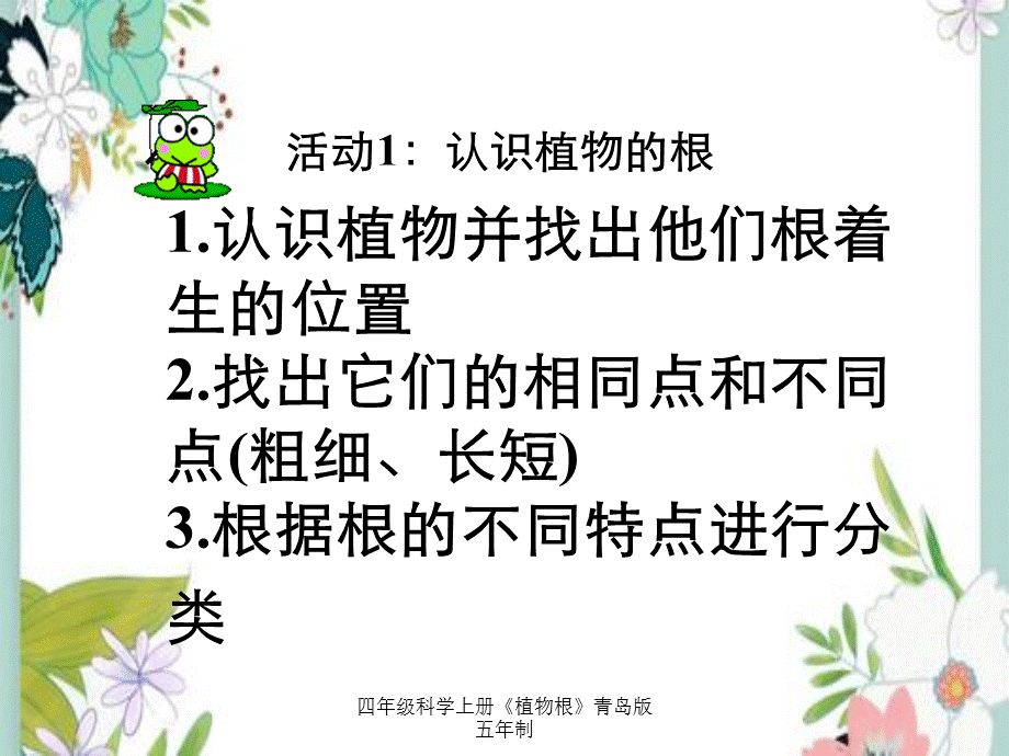 四年级科学上册《植物根》青岛版五年制.ppt_第2页