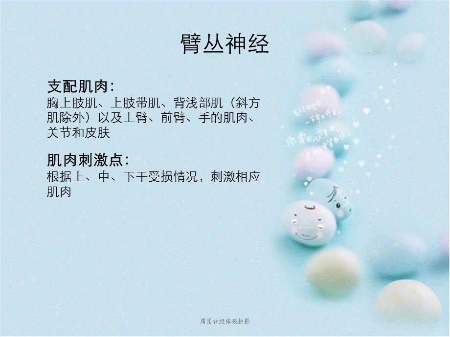 周围神经体表投影 .ppt_第3页