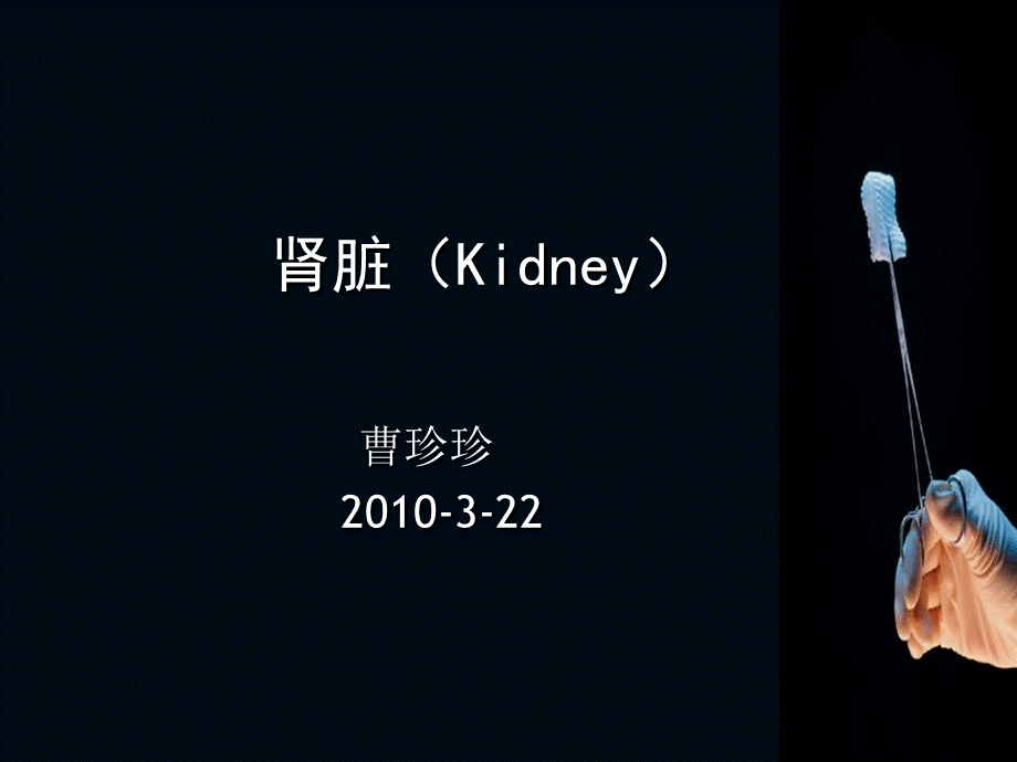 《肾脏Kidney》.ppt_第1页