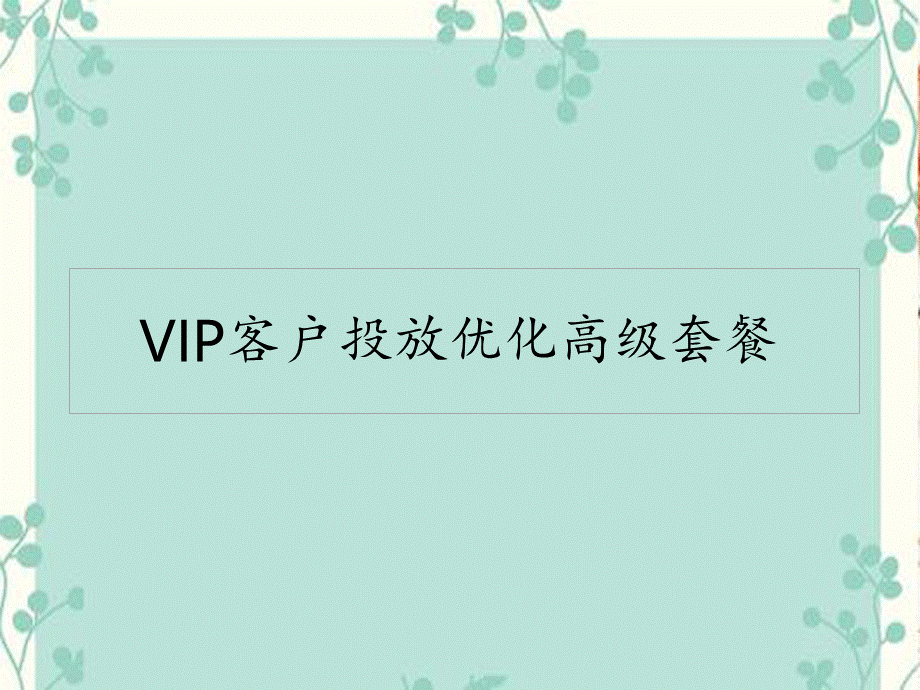 京-sem-辉大客户定向网盟VIP客户投放优化高级套餐.pptx_第2页